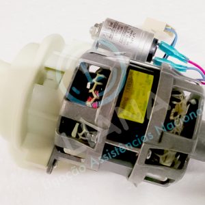 Motor